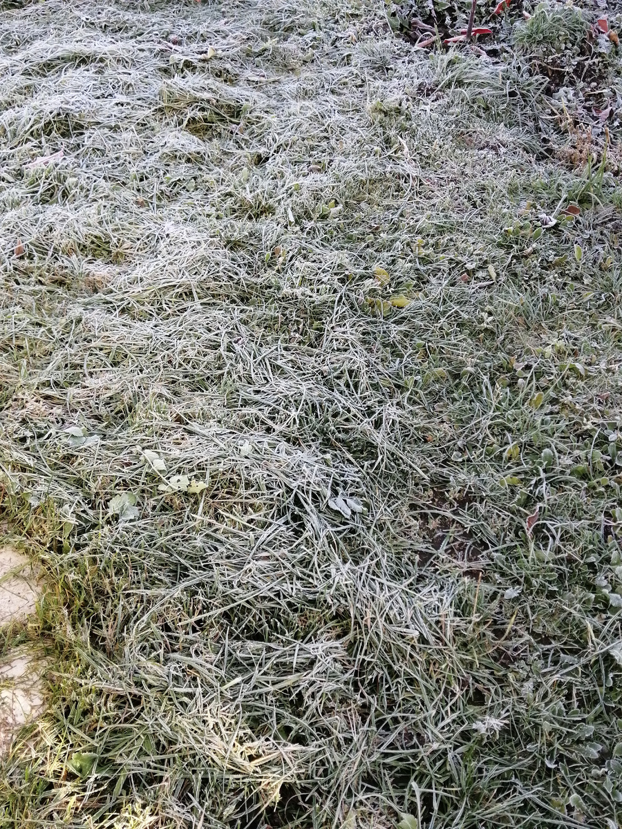                 =   ЛИСТАТЬ    =