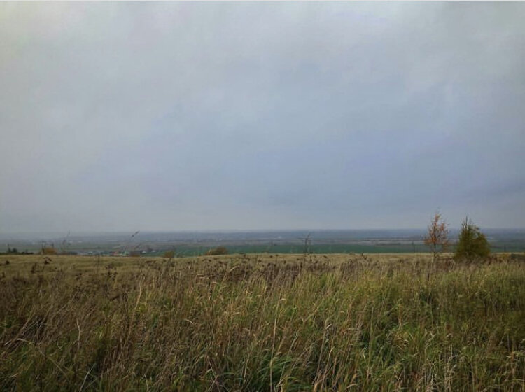 Кемпелево, залив на горизонте. Фото мое 