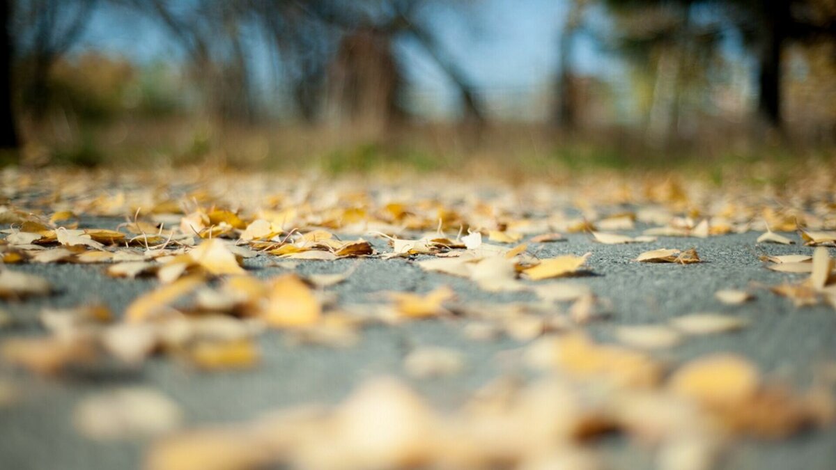     Самые значимые события недели.