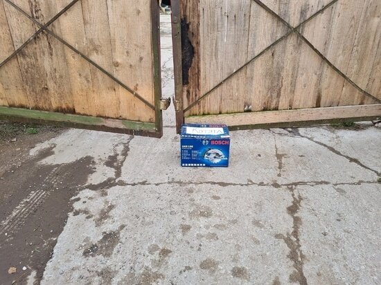     Фото: ПРОО «Зоозащита»