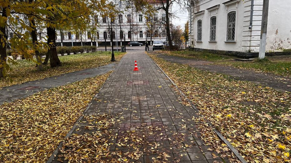   Автор фото: Галина Быстрикова