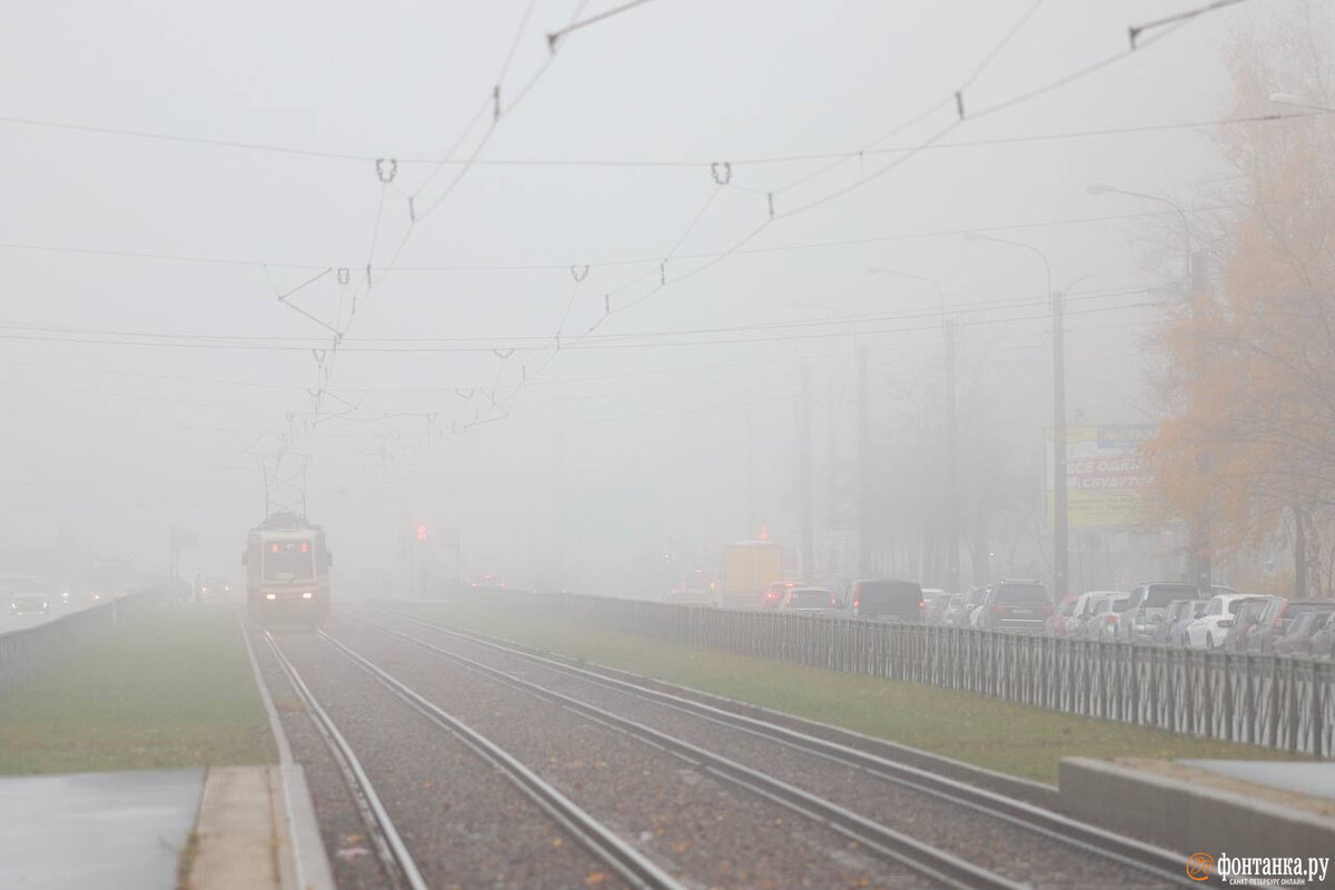   
 Фото: Сергей Михайличенко / «Фонтанка.ру»