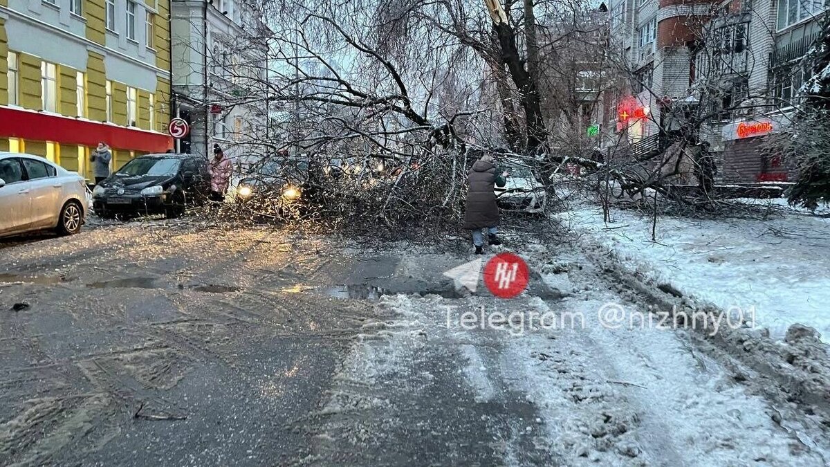     Свыше 70 деревьев упали в Нижнем Новгороде из-за ледяного дождя. Об этом NewsNN рассказали в пресс-службе городской мэрии.