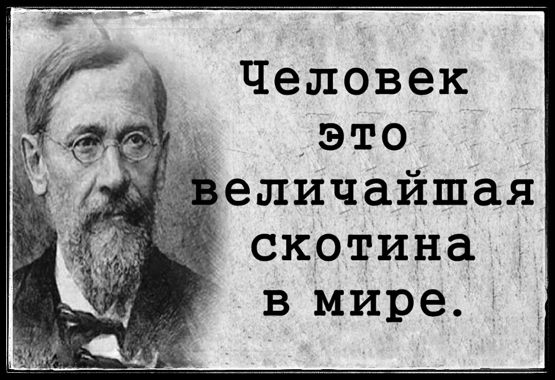 Люди, которые привыкают ко всему. Скотина. Просто скотина. Извени. Шутки про политкорректность.