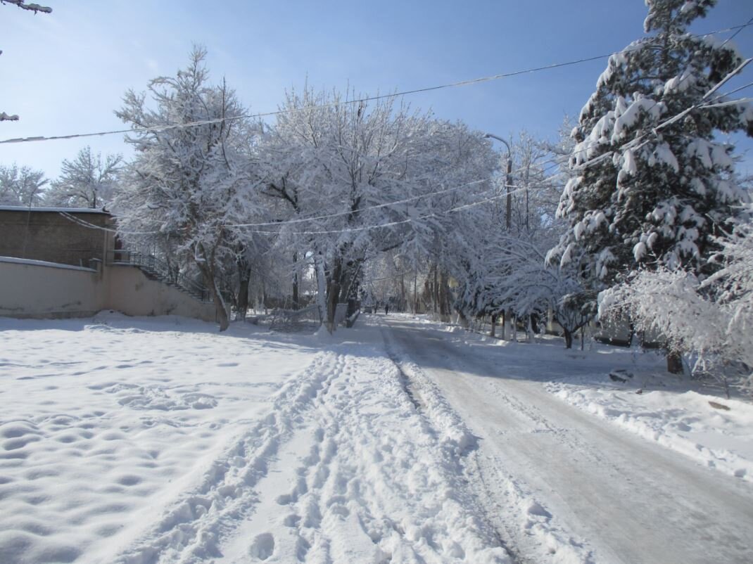 Мороз и солнце ... Прислал Кубатин им же и названа...