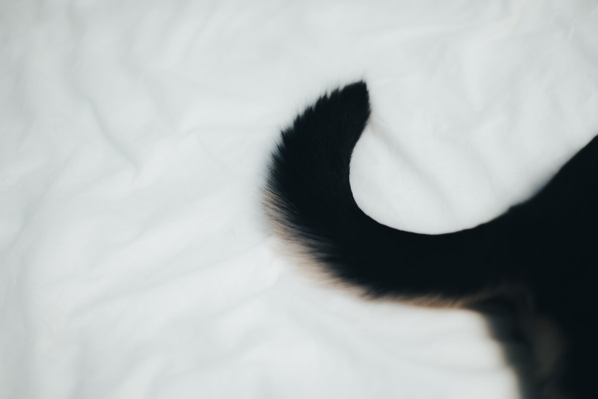 Фото: Владимир Аверин для ТД