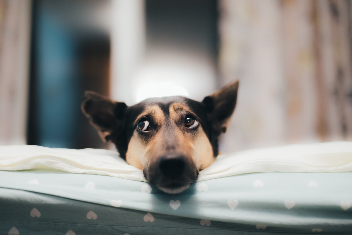 Фото: Владимир Аверин для ТД