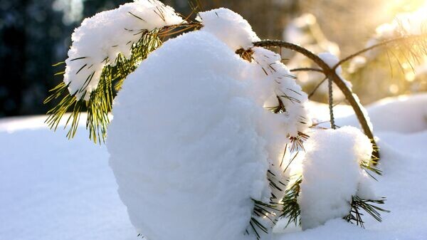   © Photo : Pixabay/stafichukanatoly