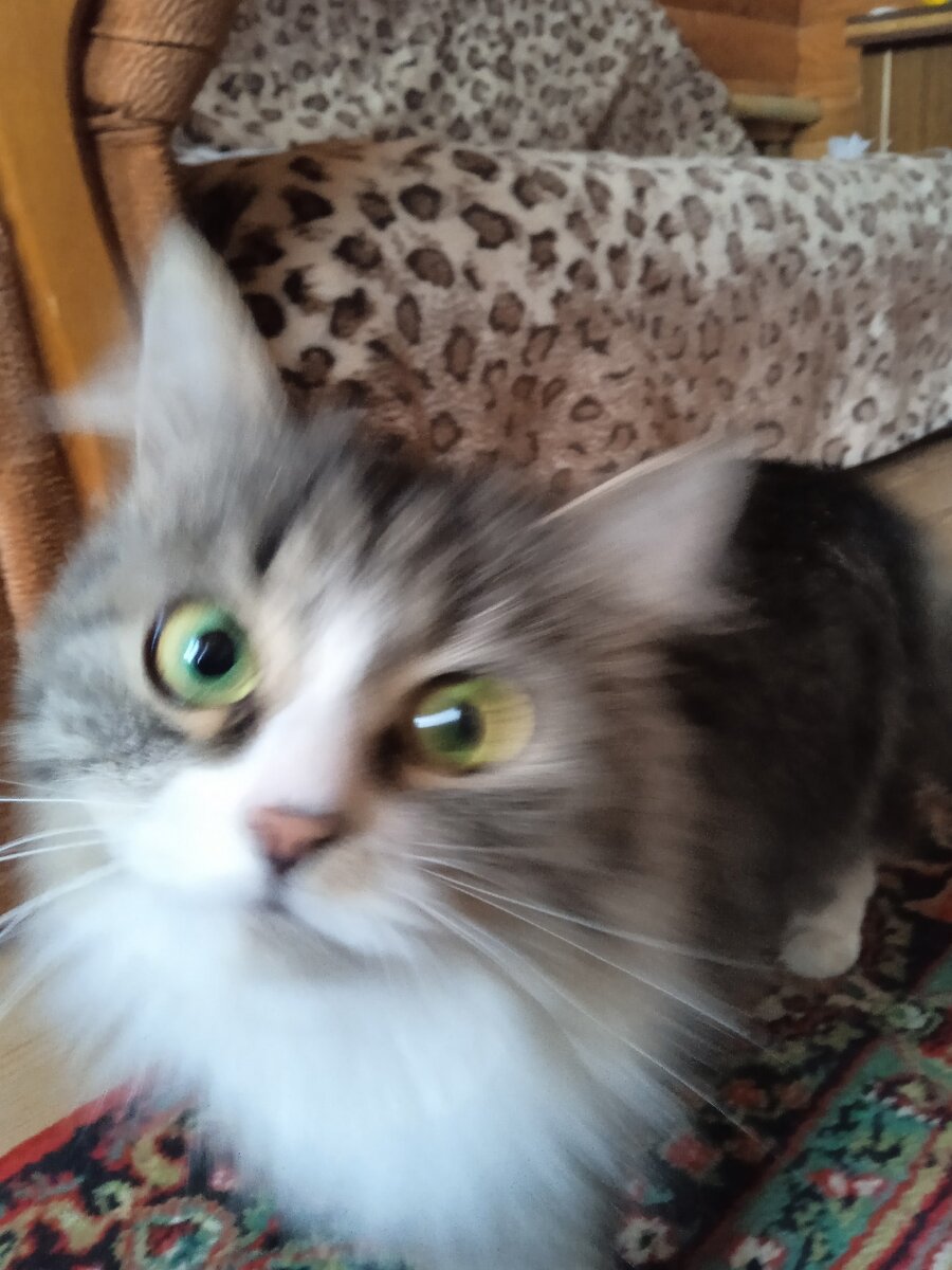 Простите, за нечеткую фотку, она вертится, невозможно поймать в кадр...