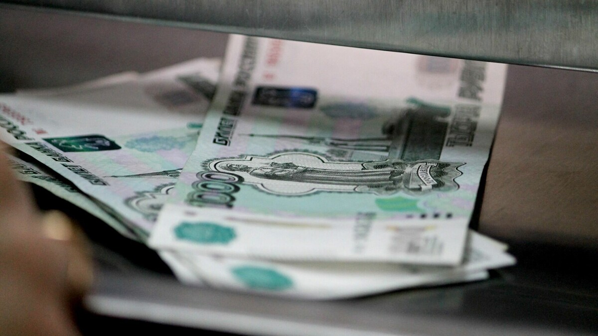     В России может заработать механизм, по которому банки будут выплачивать компенсации клиентам, ставшим жертвами мошенников. Такое поручение 13 января дал президент РФ Владимир Путин.