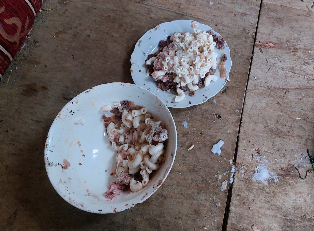 Это макароны первого дня. Под ними недоеденная моя сушка и паучи. Остальные макароны были разбросаны по.домику.