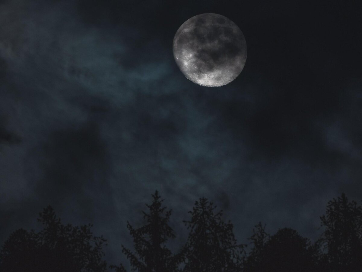    фото: unsplash.com