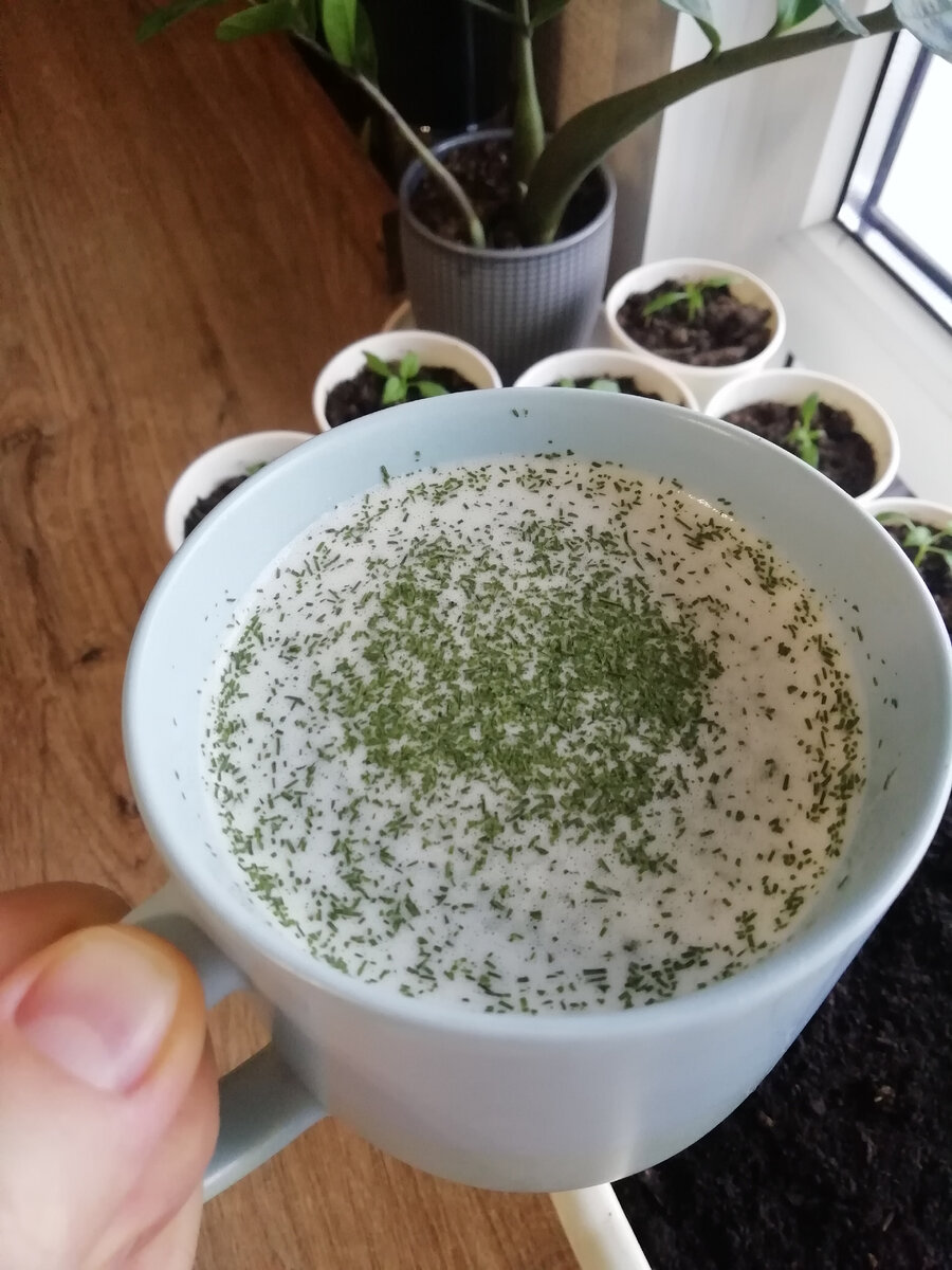 300 г бульона + 50 г вареного толстолоба пробила в блендере, посыпала зеленью 