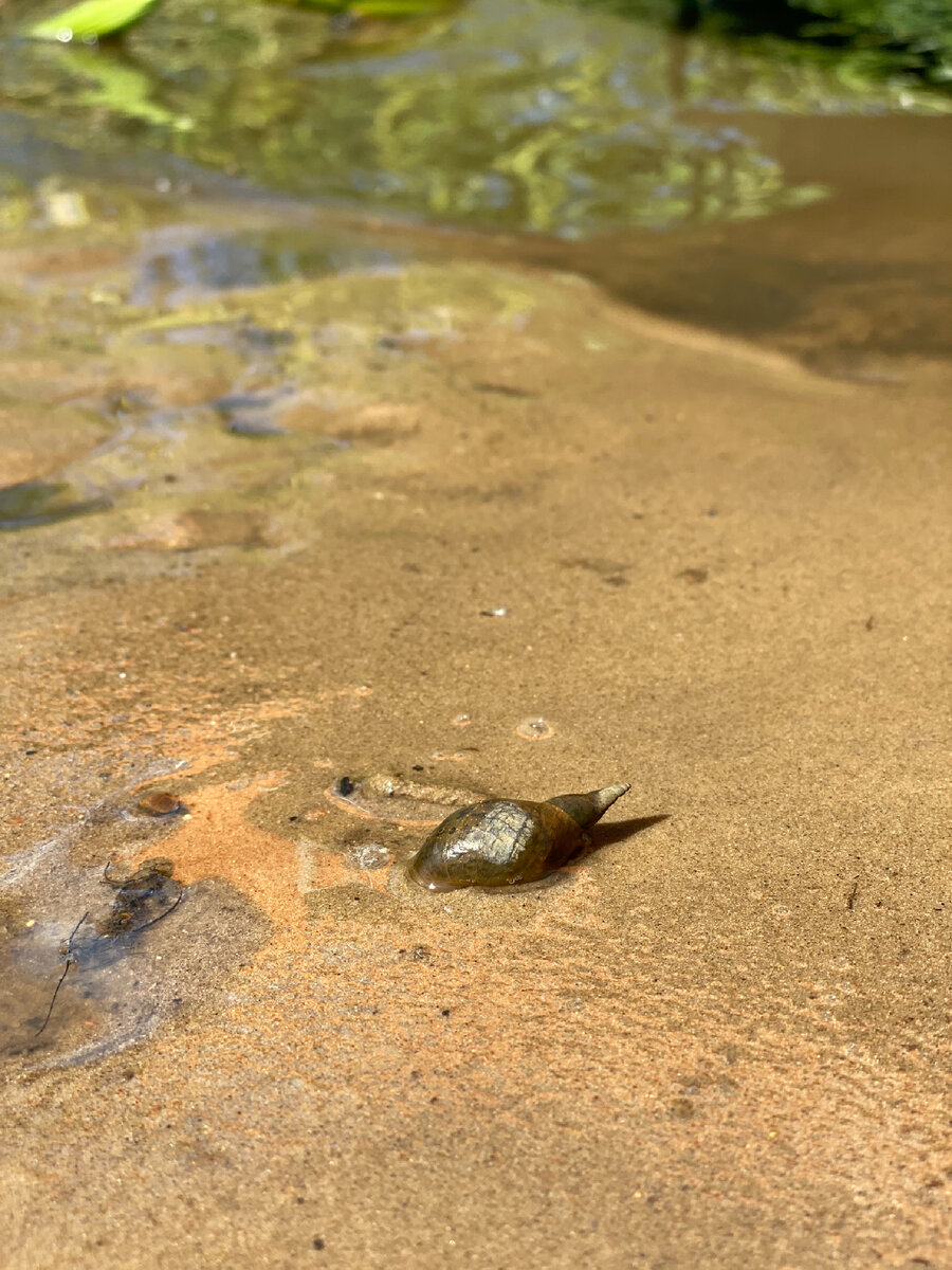 Фото авторы. Медленно, но уверенно.