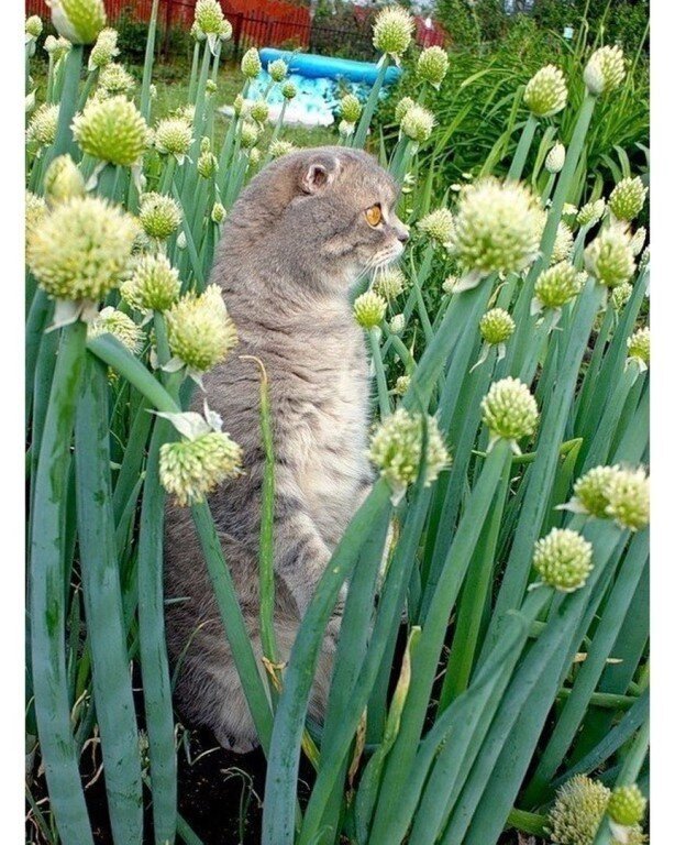 А тут умиляется.