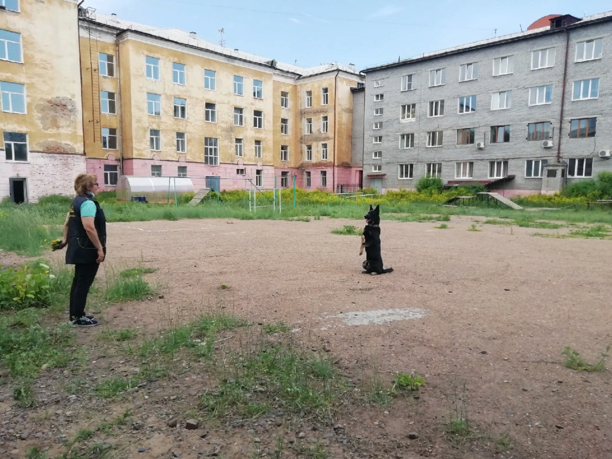 Показательное выступление