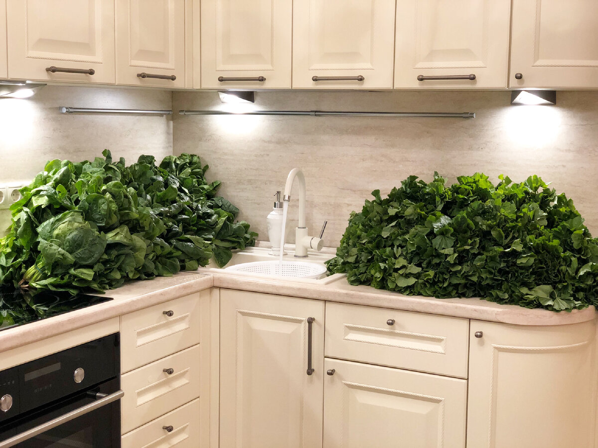  Вот он райский уголок с зеленью на зиму 🌱