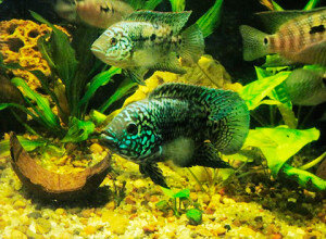 Иногда можно))