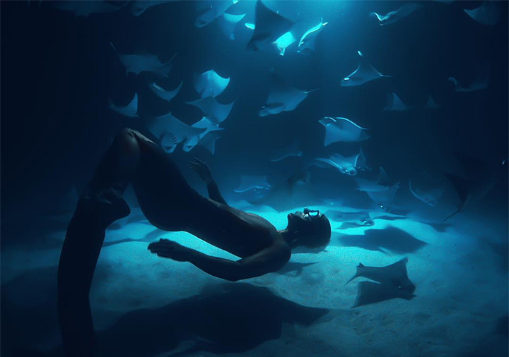 фото из открытых источников Яндекса