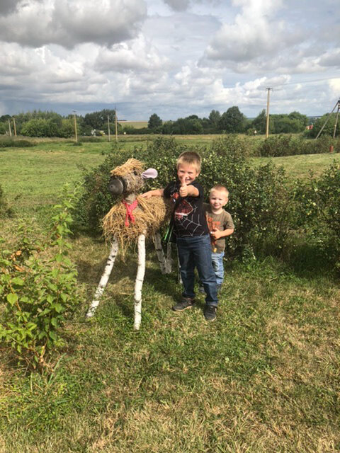 На территории Конного двора