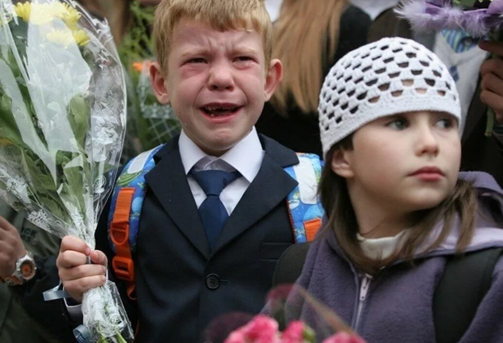 Случайная картинка из свободного Интернета