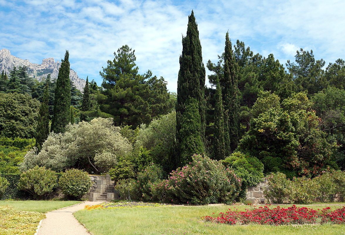 Источник: fotokto.ru 