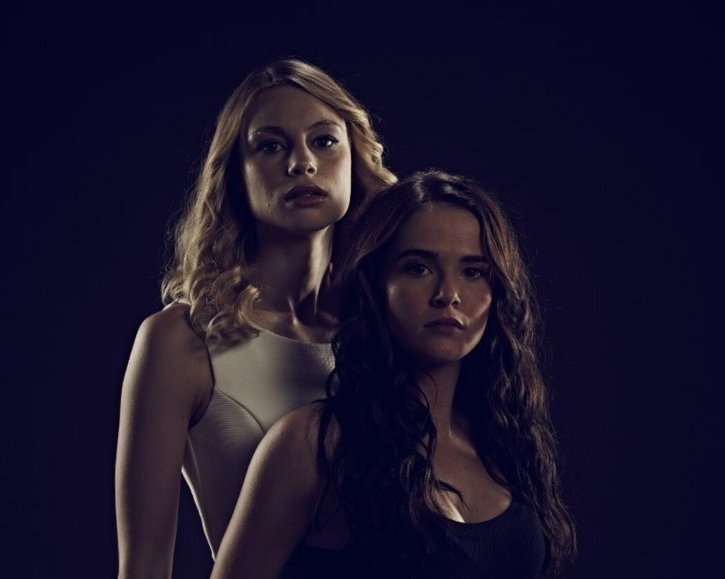  Академия вампиров (2014) 