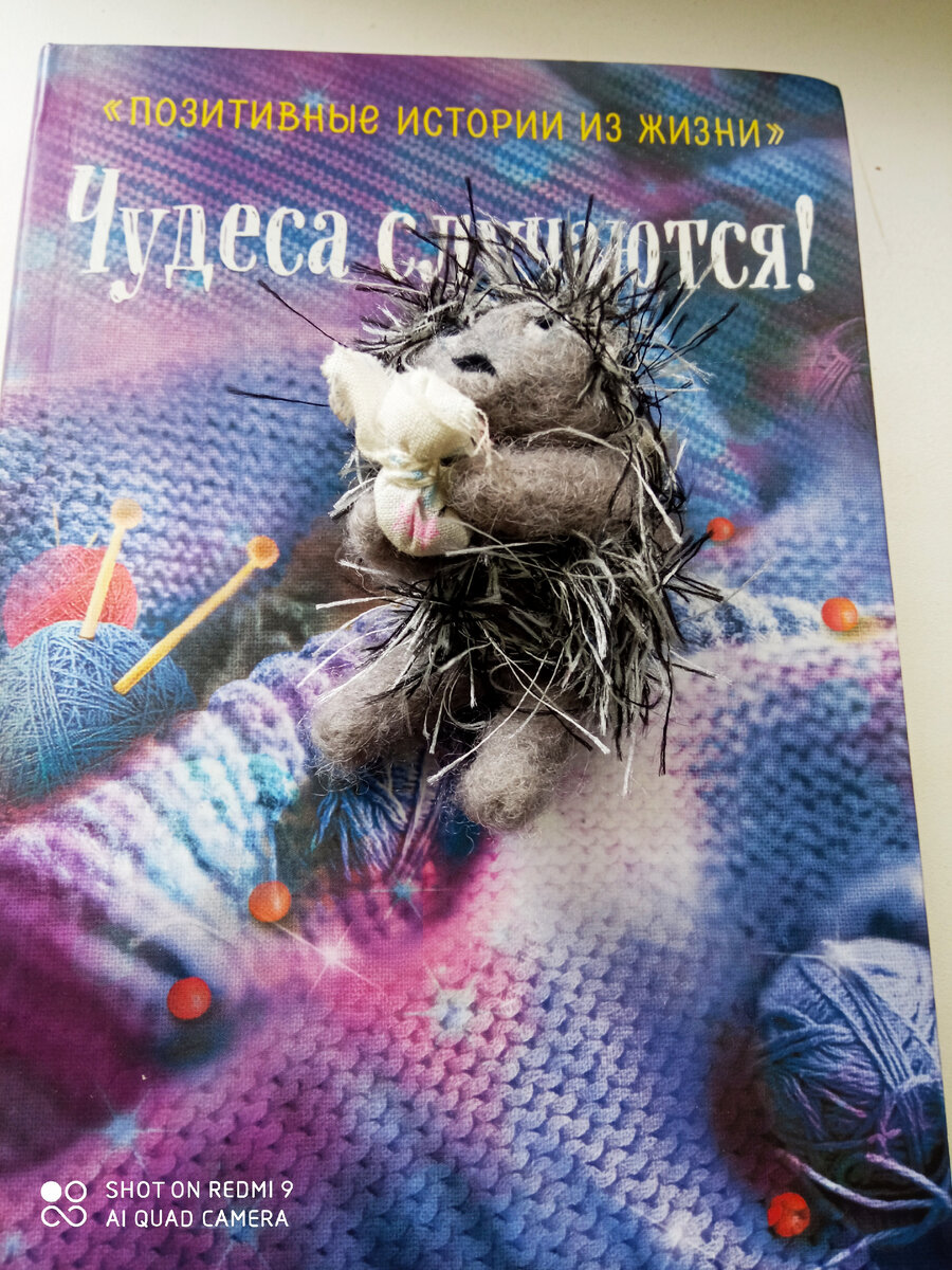 Специально для этой публикации. ))  Ежик прилег на наш витаминный сборник.  