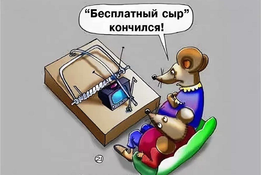 Бесплатный сыр только в мышеловке картинки