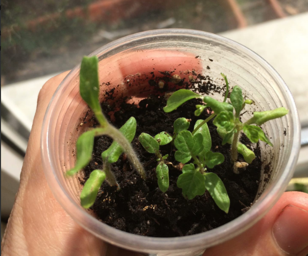 мелочь, а приятно-то как!