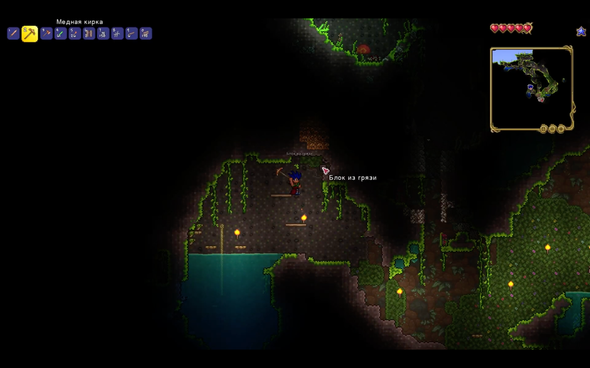 Не запускается terraria