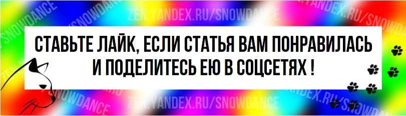 Как отучить котенка от сосания кошки: 5 методов, о которых никто не расскажет | Ваши Питомцы