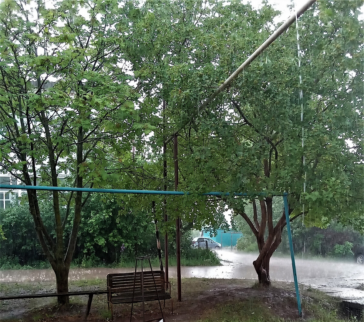 Осенний дождь во дворе. Фото автора канала.