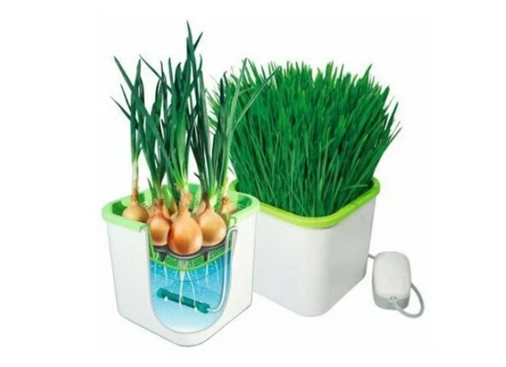 Проращиватель семян и зелени из луковиц Здоровья Клад Х2 аэросад origina в обзоре проращивателей