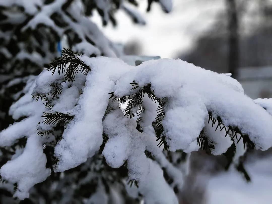 Фото — yandex.net