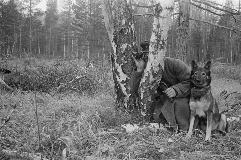 Здравствуйте, мои дорогие. Хочу более подробно остановиться на одном комментарии, который мне написали. ссср - это не только прошлое России. а самое отвратительное ее прошлое… за которое очень стыдно.-2