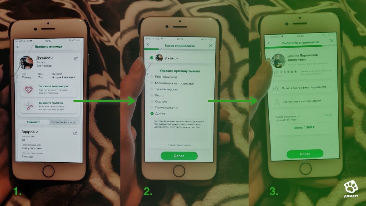 Мой печальный опыт вызова ветеринара из интернета. Рассказываю о сервисе,  который в итоге спас любимого кота | ДомВет | Дзен