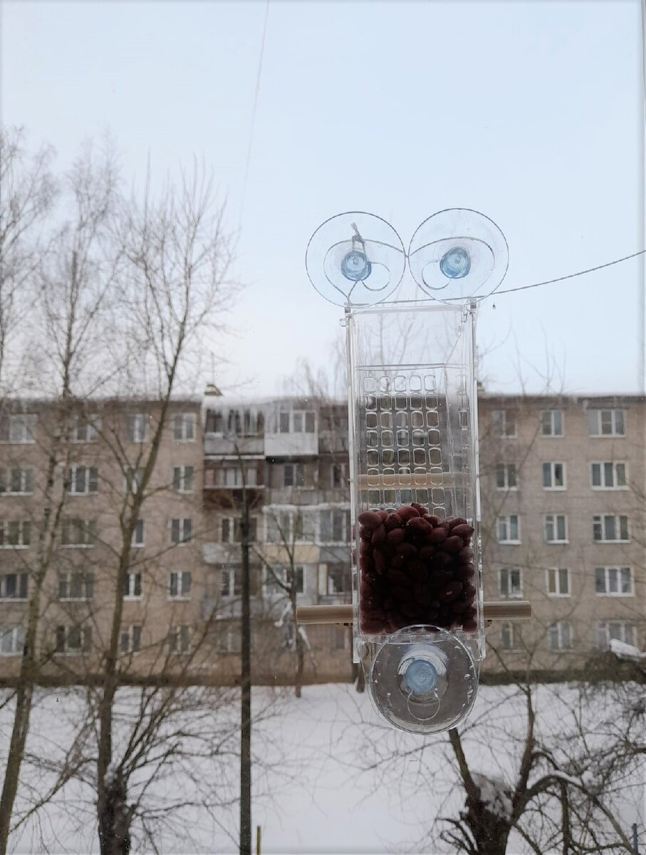 Кормушка на окне