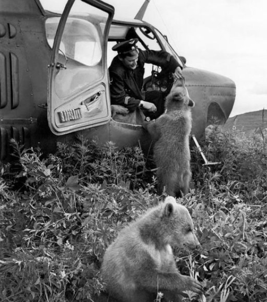 1962 год, СССР; источник фото: visualrian.ru 
