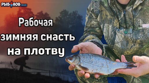 Зимняя Рыбалка на Подлещика – Ловля Белой Рыбы Зимой на Течении (Клёв) / Catching Bream – MF №87