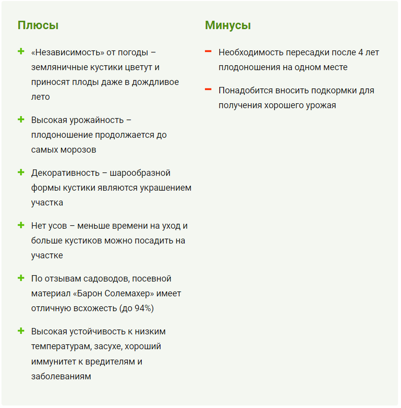Ремонтантная земляника Барон Солемахер: описание сорта и секреты ...