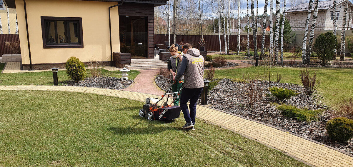 Весенний уход за газоном oasis-landscape.ru