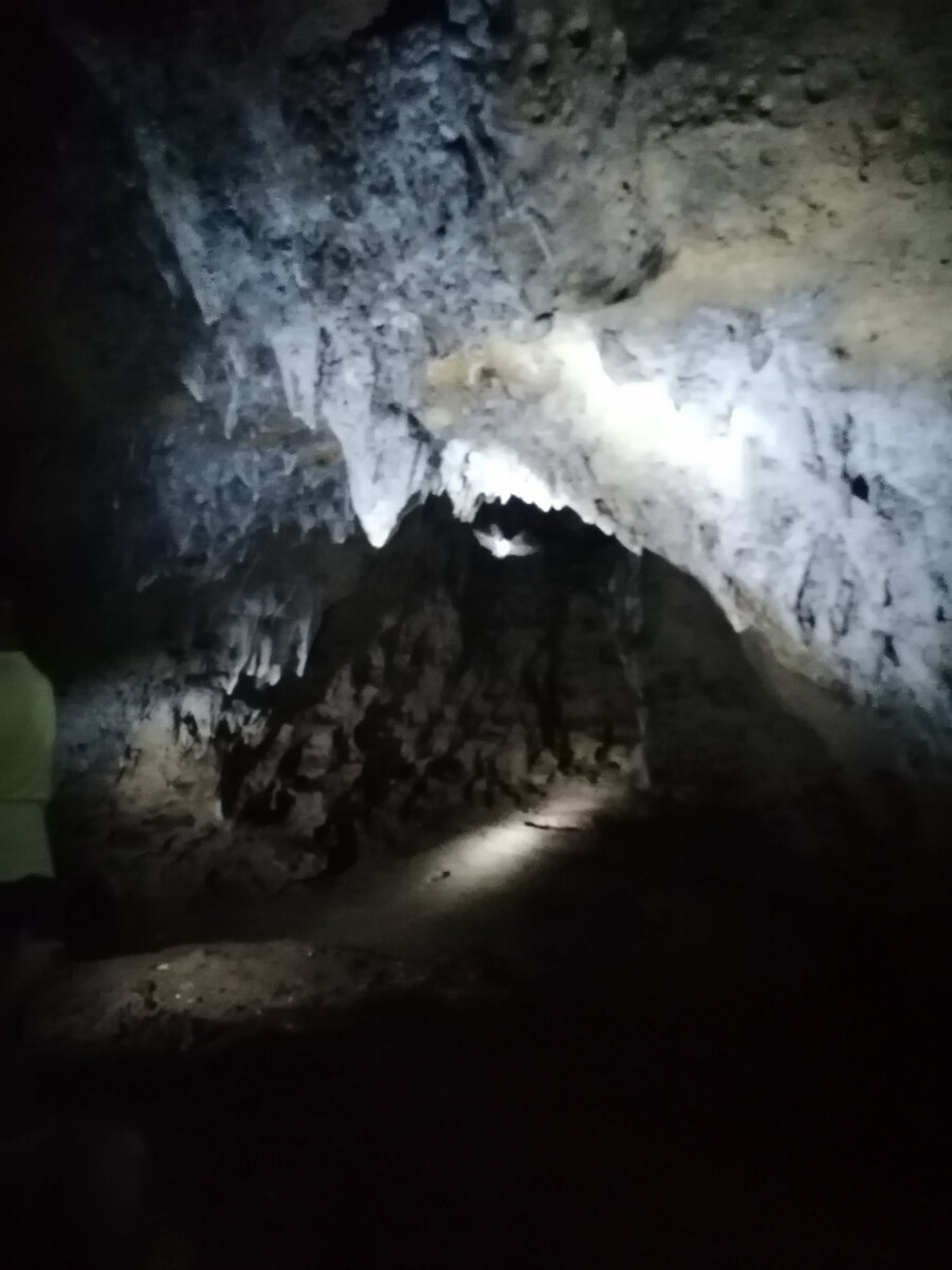 Вон летит "мышка" - белый силуэт на фото.