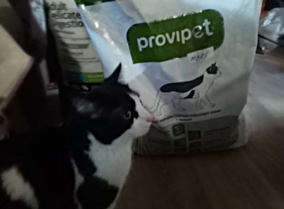 Софира – лицо с обложки :)