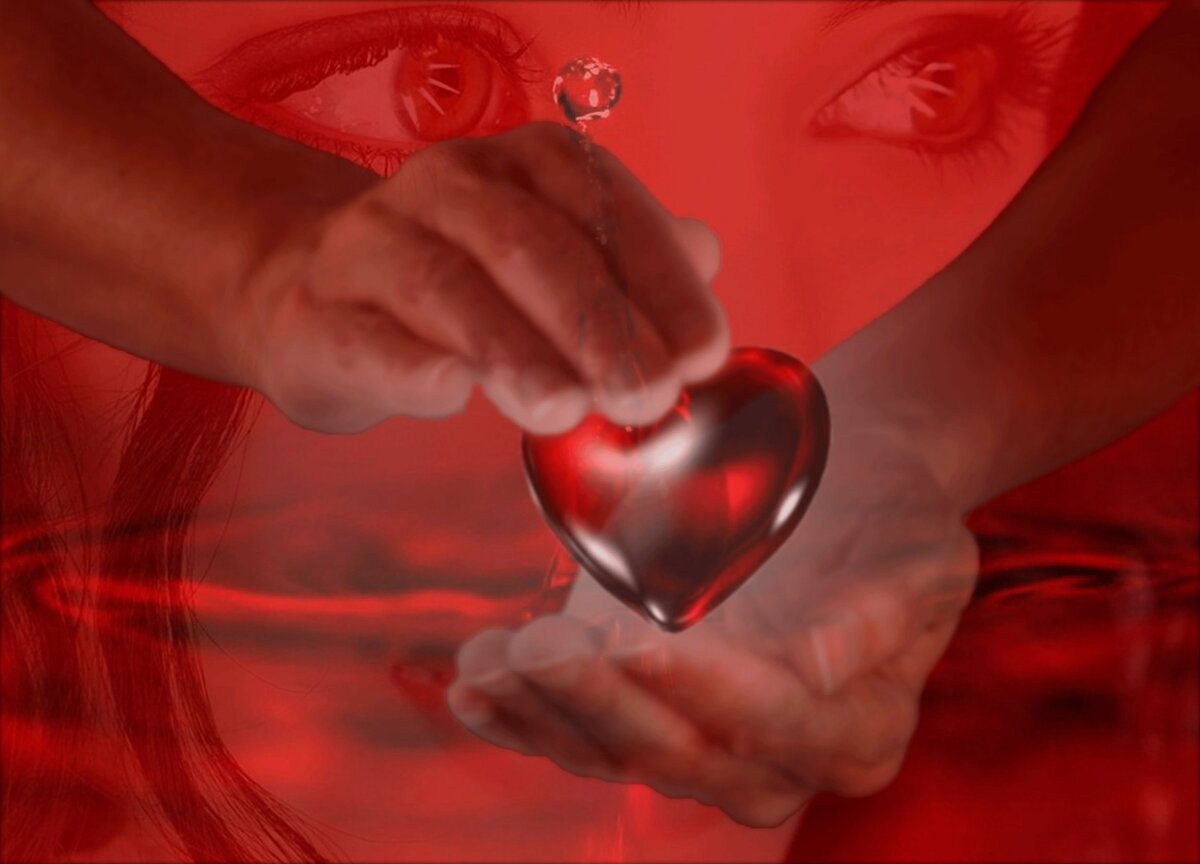 Фото из открытых ресурсов интернета