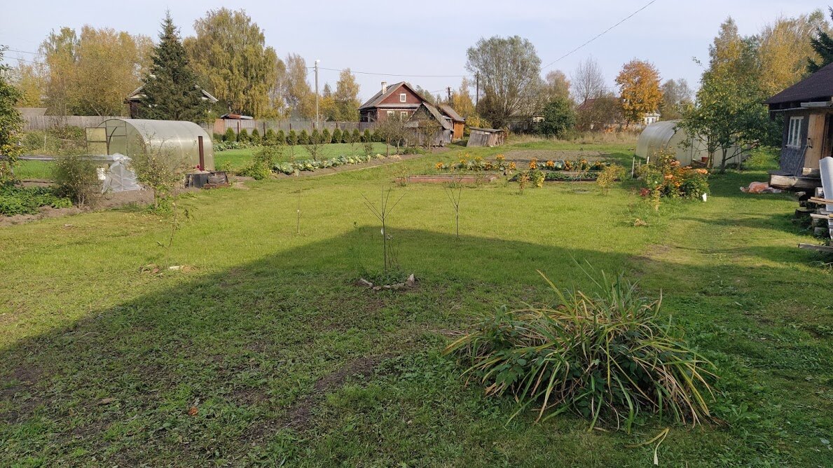 Заключили соц.контракт с государством на развитие ЛПХ. Рассказываю как ...