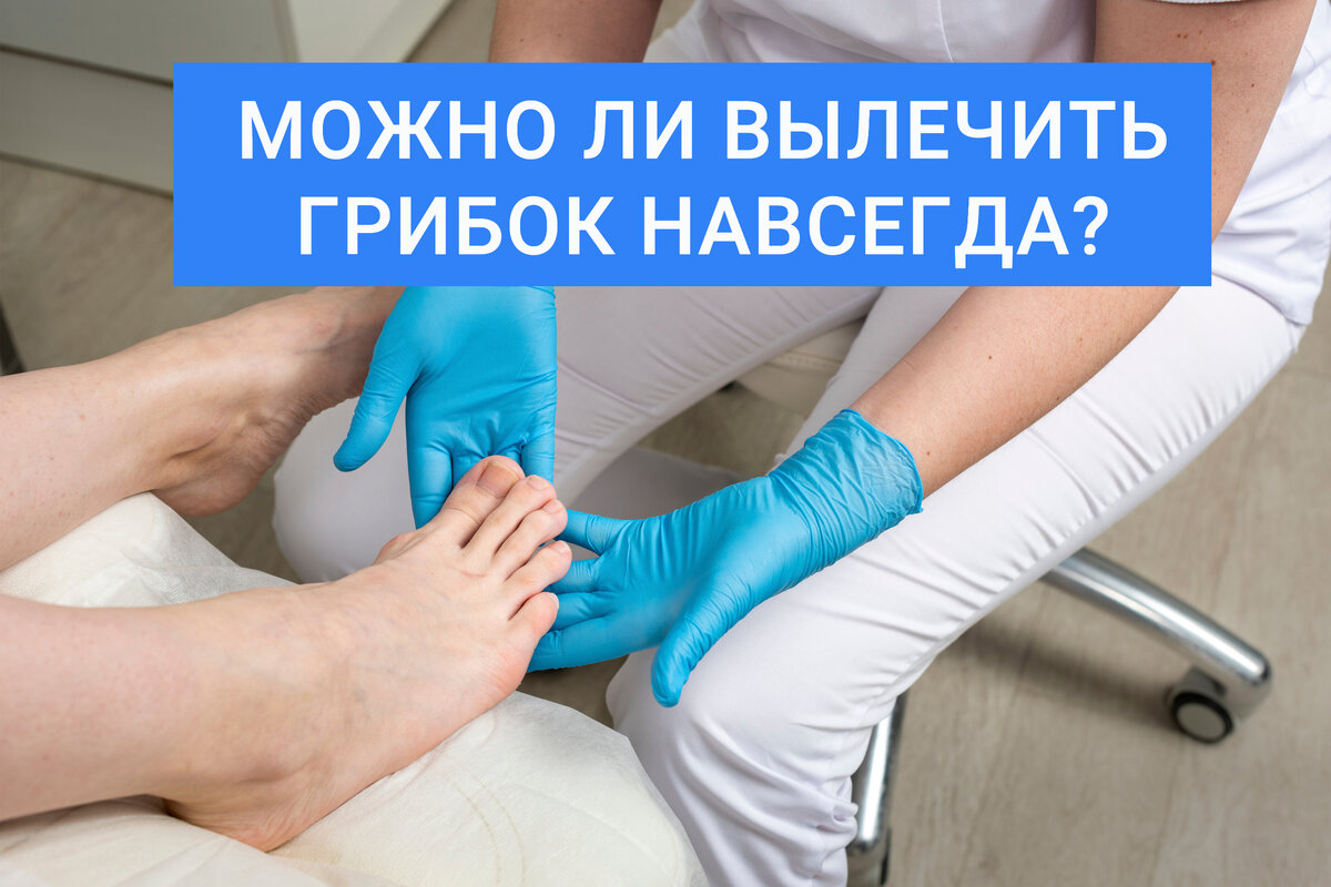 Центр подологии елены павловой санкт петербург. Центр подологии Красносельская