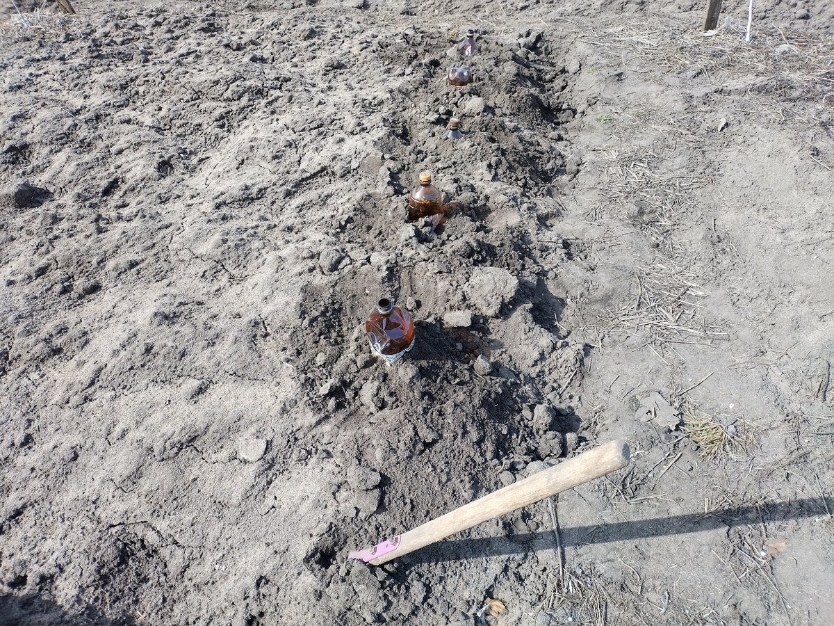 Пять лунок - пять по пол-бутылки ))