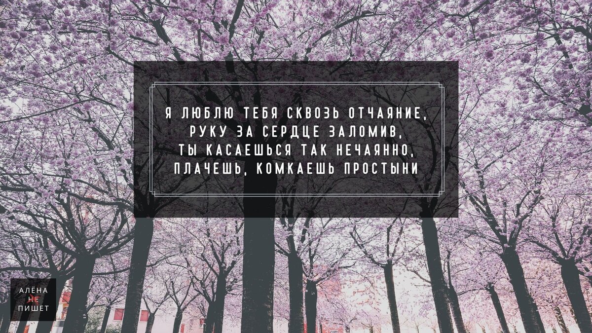 Наступил февраль жду тебя сонными. Наступил февраль жду тебя сонными. Тихо падает снег засыпает заботы людей. Наступил февраль жду тебя сонными. Шутки про ретроградный меркурий.