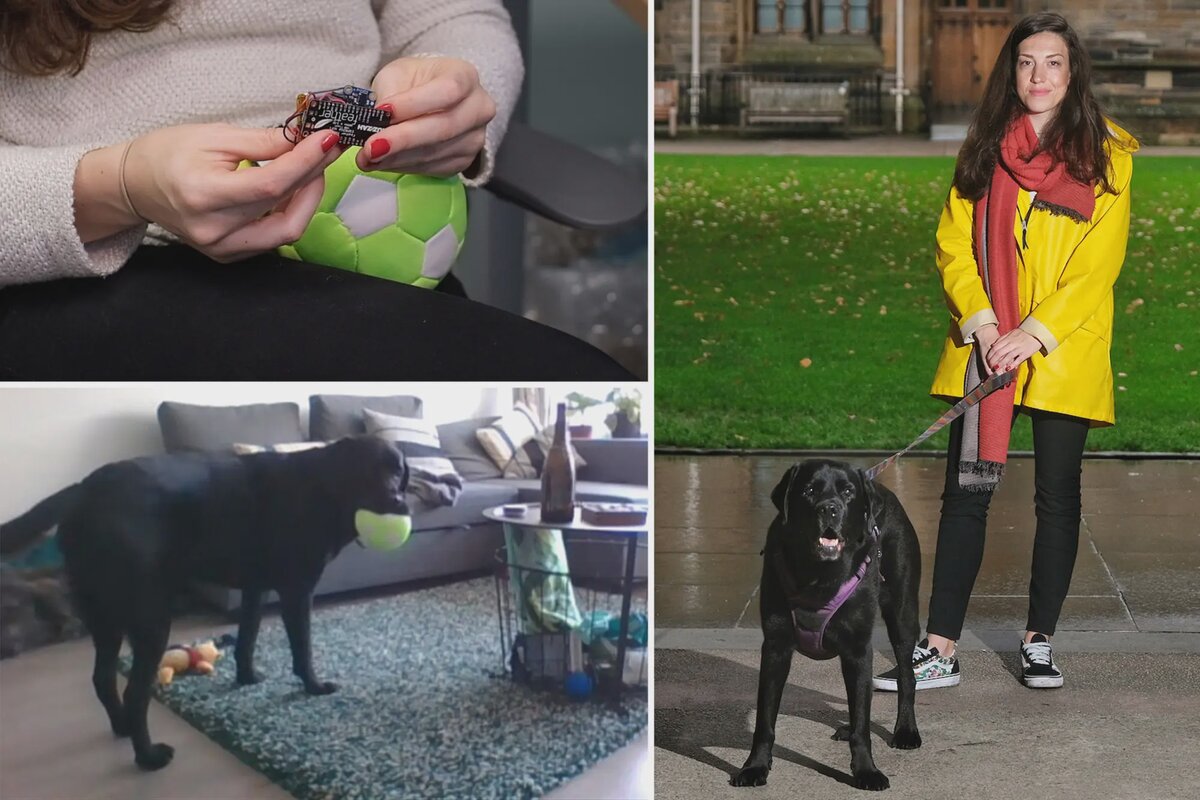 Илена Хирски-Дуглас тестирует DogPhone на своем лабрадоре Заке